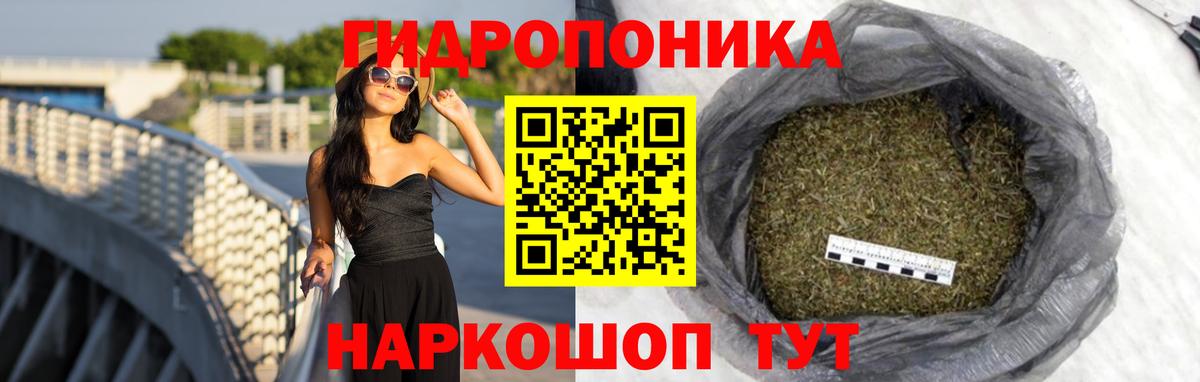 Конопля план  Вход с VPN  Лангепас  Канабис гибрид  Марихуана индика 